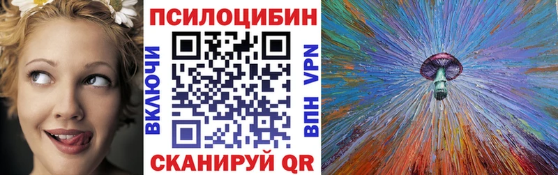 МЕГА   Пролетарск  Галлюциногенные грибы Cubensis 